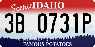 ID license plate 3B0731P