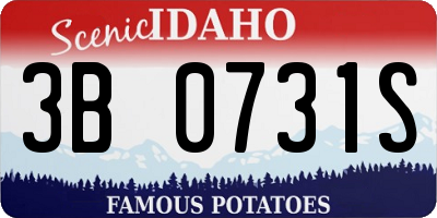 ID license plate 3B0731S