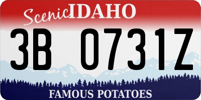 ID license plate 3B0731Z