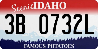 ID license plate 3B0732L