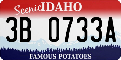 ID license plate 3B0733A