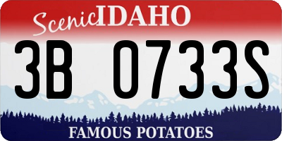 ID license plate 3B0733S