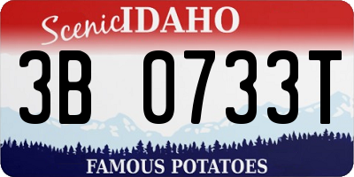 ID license plate 3B0733T