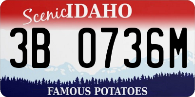 ID license plate 3B0736M