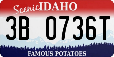 ID license plate 3B0736T