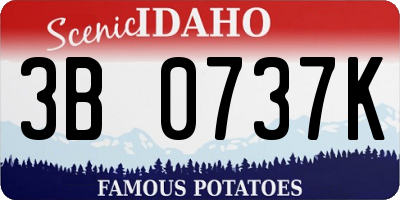 ID license plate 3B0737K