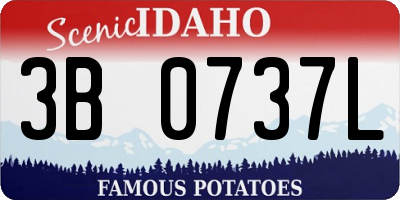 ID license plate 3B0737L