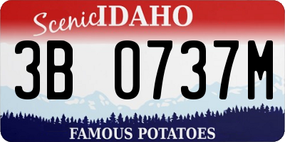 ID license plate 3B0737M