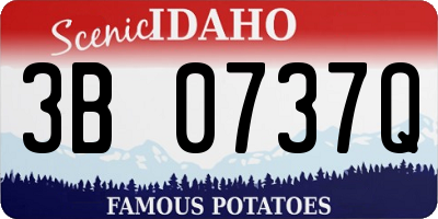 ID license plate 3B0737Q