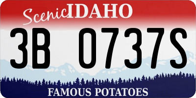 ID license plate 3B0737S