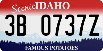 ID license plate 3B0737Z