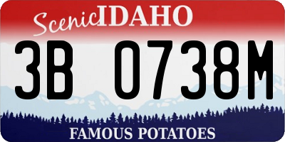 ID license plate 3B0738M