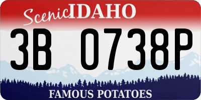 ID license plate 3B0738P