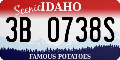 ID license plate 3B0738S