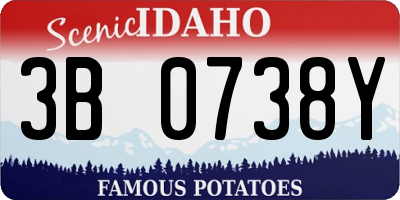 ID license plate 3B0738Y