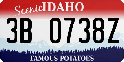 ID license plate 3B0738Z