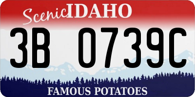 ID license plate 3B0739C
