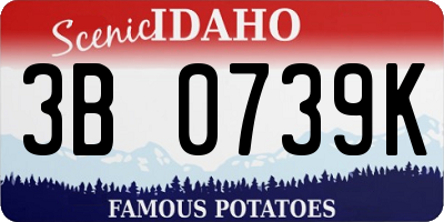 ID license plate 3B0739K
