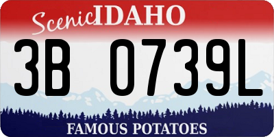 ID license plate 3B0739L
