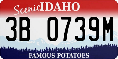 ID license plate 3B0739M