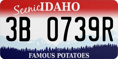ID license plate 3B0739R