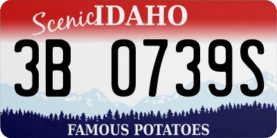 ID license plate 3B0739S