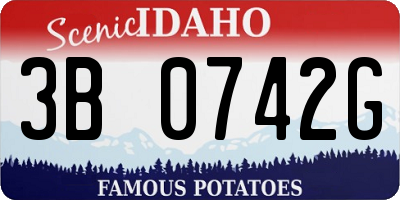 ID license plate 3B0742G
