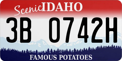ID license plate 3B0742H