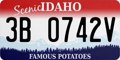 ID license plate 3B0742V