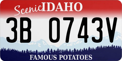 ID license plate 3B0743V