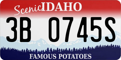 ID license plate 3B0745S