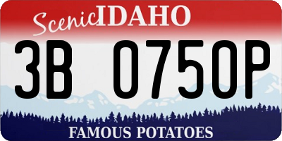ID license plate 3B0750P