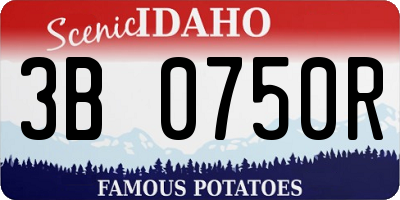 ID license plate 3B0750R
