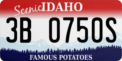 ID license plate 3B0750S