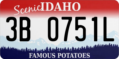 ID license plate 3B0751L