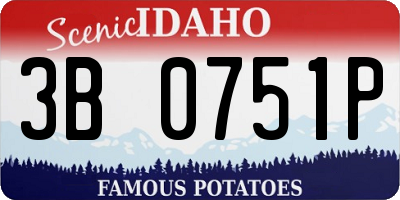ID license plate 3B0751P