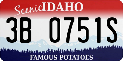 ID license plate 3B0751S