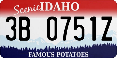 ID license plate 3B0751Z