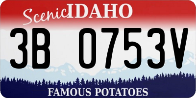 ID license plate 3B0753V