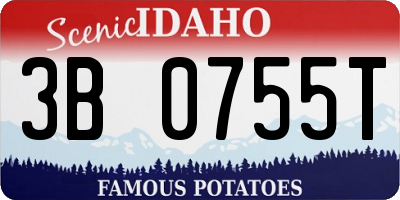 ID license plate 3B0755T