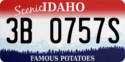 ID license plate 3B0757S