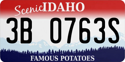 ID license plate 3B0763S