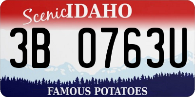 ID license plate 3B0763U