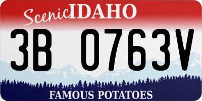 ID license plate 3B0763V