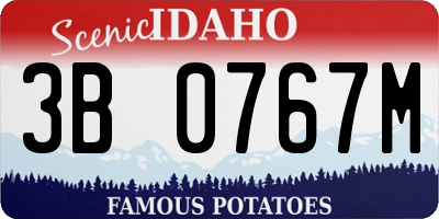 ID license plate 3B0767M