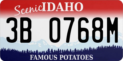 ID license plate 3B0768M