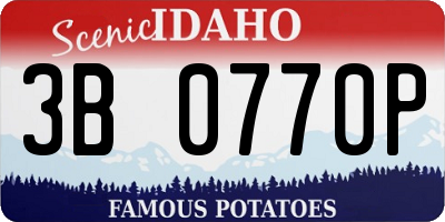 ID license plate 3B0770P