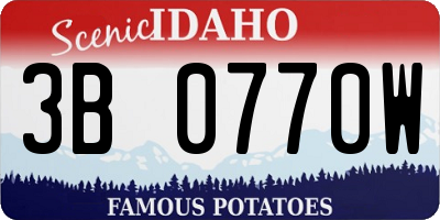 ID license plate 3B0770W
