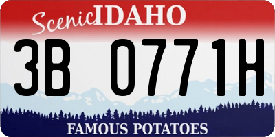 ID license plate 3B0771H