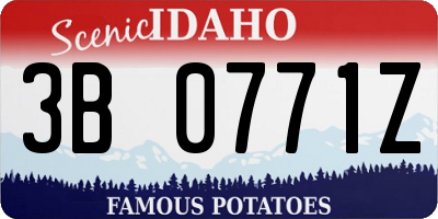 ID license plate 3B0771Z